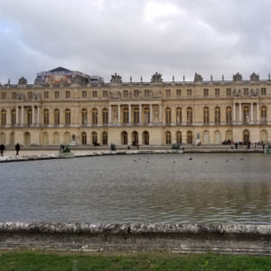 Meet your Posher, Lily